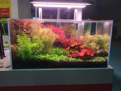 Allcolor Low Iron Glass Ultra Clear Rimless Aquarium Tank (34Gal)