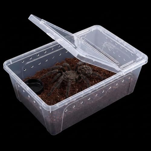 Irenare 8 Pcs Reptile Breeding Box Plastic Spider Terrarium Tarantula Feeding Box for Bearded Dragon Lizard Spider Gecko Scorpion(Vent Holes,Clear,12.6 x 8.66 x 5.91 Inches)
