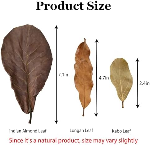 170Pcs Leaf Litter Reptiles Indian Almond & Longan Kabo Leaves