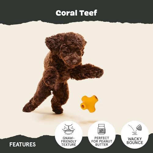 BarkBox Coral Teef Super Chewer - Toy for Small Dogs