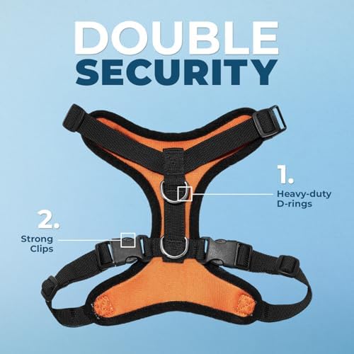 Best Pet Supplies Voyager Step-in Lock Pet Harness w Reflective Pet Leash Combo Set with Neoprene Handle 5ft - Supports Small, Medium and Large Breed Puppies/Cats - Orange/Black Trim, M
