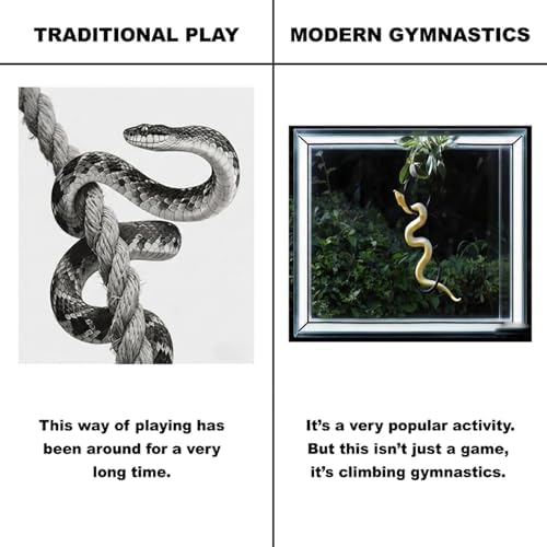 Horsmiyla 3-Ring DIY Snake Climbing Rings for Ball Python Tank Decor