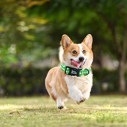 Spring Summer Green Goose Print Dog Collar for Small Dogs