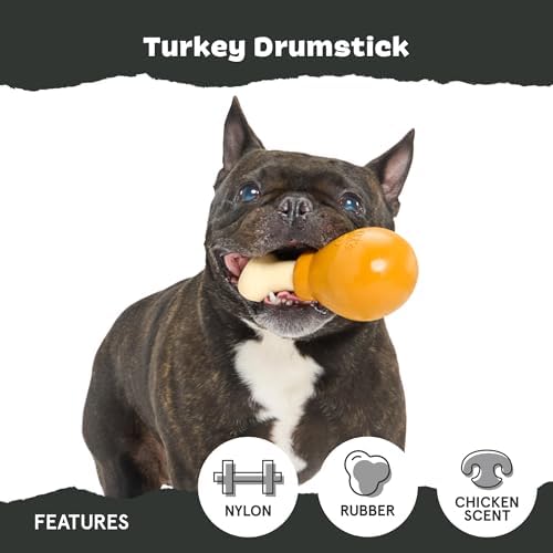 BarkBox Turkey Drumstick Super Chewer - Toy for Small Dogs