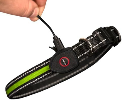 Sherry Kline LED Light-Up Pet Collar - USB Rechargeable - Flashing Glow in The Dark Size Large, Color: Green