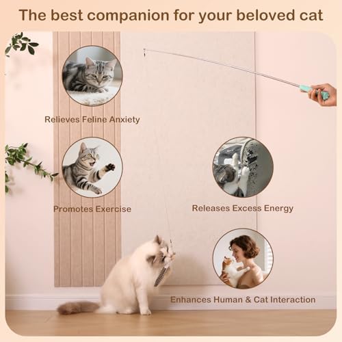 Retractable Cat Wand with 4 Feather Refills for Indoor Cats