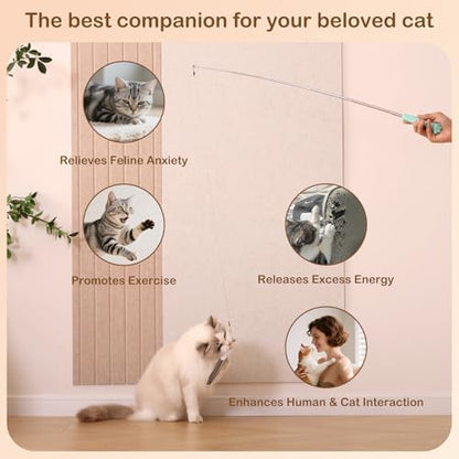 Retractable Cat Wand with 4 Feather Refills for Indoor Cats