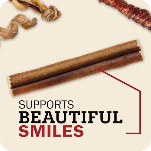 Redbarn Bully Skin Sticks 10-Pack 100% Natural Single-Ingredient Beef Pizzle Dog Chews Long Lasting Rawhide-Free Dental Wellness Treats for Small Medium Large Dogs 8 oz Case