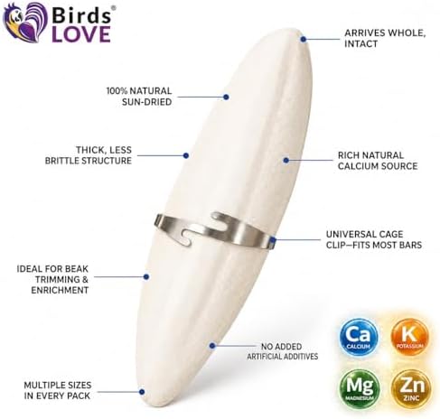 Birds LOVE 5.5 - 6″ Cuttlebones for Birds – 100% Natural Sun-Dried Calcium & Beak Conditioning Supplement for Parakeets, Budgies, Cockatiels, Finches & Canaries – 12 Pack with Holder – Made in Vietnam