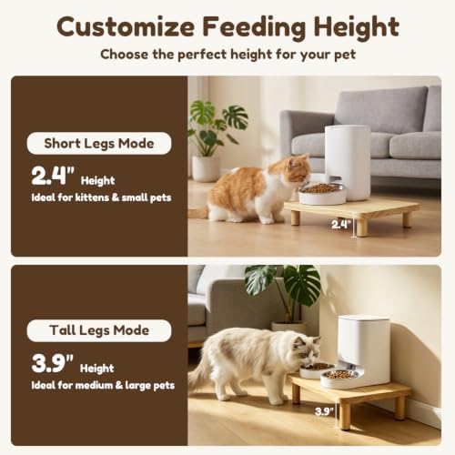 Large Elevated Cat Food Stand for Automatic Feeders, 1 Pack