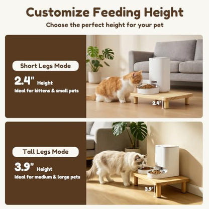 Elevated Cat Food Stand for Automatic Feeders, 13.5 x 7.8, 1 Pack