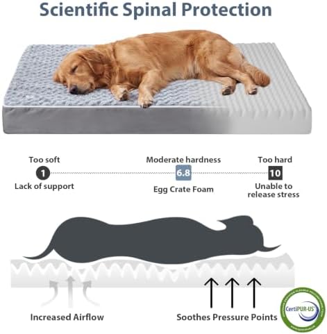 WNPETHOME Orthopedic Washable Dog Beds Medium Sized Dog to Sleep Cozy, Grey