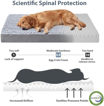WNPETHOME Orthopedic Washable Dog Beds Medium Sized Dog to Sleep Cozy, Grey