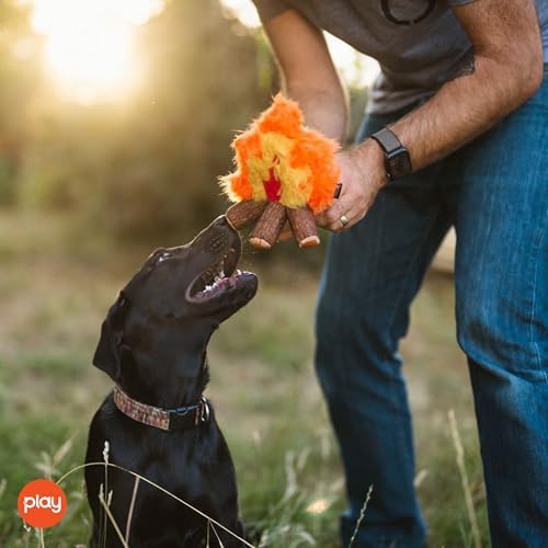 P.L.A.Y. Cute Plush Dog Toys - Camping, Outdoor Themed Durable Squeaker Chew Toy, Great for Puppies & Small, Medium, Large Dogs - Machine Washable, Recycled Materials (Camp Corbin Cozy Campfire)