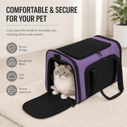 Pet Carrier for Cats and Small Dogs Up to 15 lb,Purple, Medium