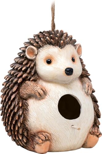 Spoontiques Hedgehog Birdhouse - Garden Décor - Hanging Novelty Decorative Bird House for Yard, Garden Decoration, Outdoor Patio