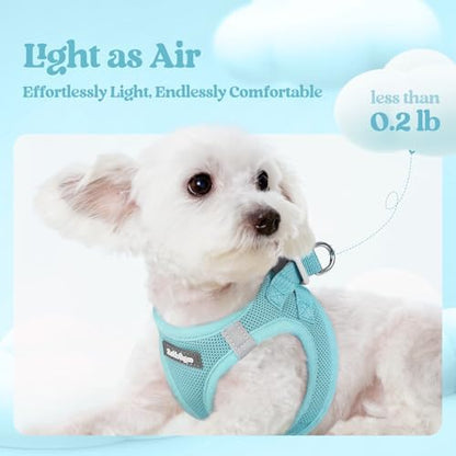 rabbitgoo Dog Harness Medium Sized and Leash Set, Step-in Puppy Pet Vest