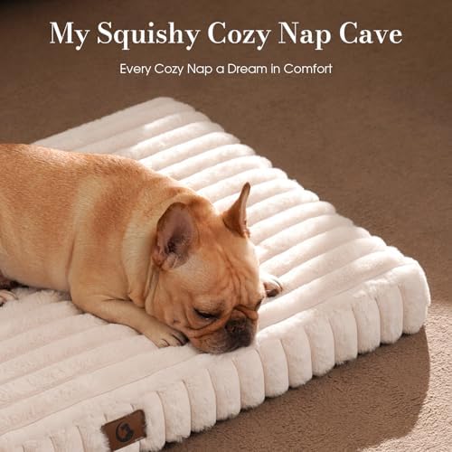 Medium Dog Bed Orthopedic Foam with Waterproof Lining