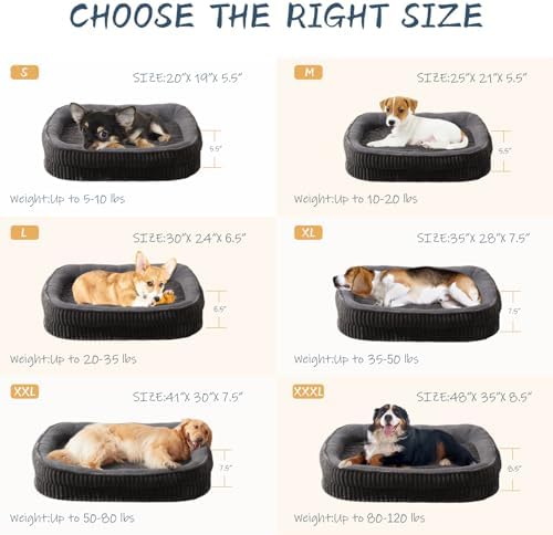 Orthopedic Dog Bed for Puppy,Extra Small Dogs Breeds,Oval Cat Bed,High Density Egg Crate Foam Dog Sofa Beds,Pet Couch Bed with Four Sided Bolster,Removable Washable Cover&Non-Slip Bottom