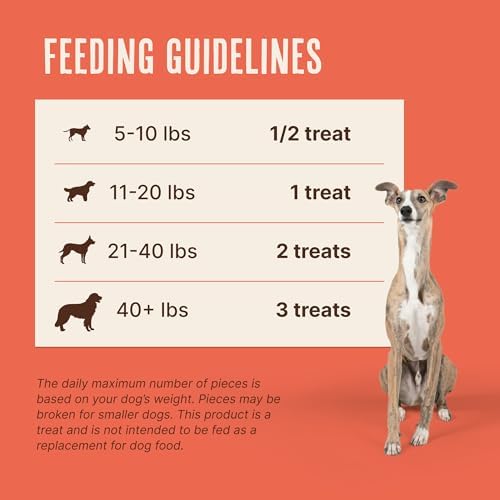 Waggin' Train Salmon Jerky Dog Treats for Skin and Coat Support, Made with 100% Real Salmon, No Grains and No Artificial Flavors or Colors, High Protein Dog Treat, Easily Digestible, 36 oz. Pouch
