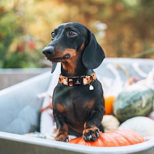 Lionheart glory Halloween Dog Collar-Pumpkin Ghosts Fall Dog Collars with Cute Ghost Pendant Soft Adjustable Collar for Small Dogs Girls Boys Collars Party Pet Gift