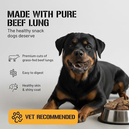 Dog Chits Beef Lung Fillets Dog and Puppy Treats – All Natural Chews for Dogs – Grain-Free, High-Protein, Low Fat Single Ingredient Dog Treat – Ideal for All Dogs – Large, 5 oz – Made in USA