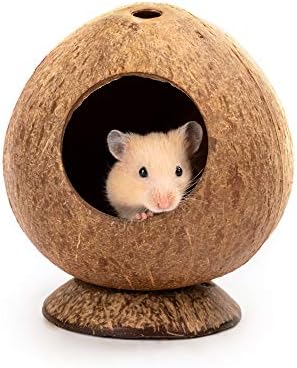 andwe Coconut Hut Hamster House Bed Natural Gerbils Hideout