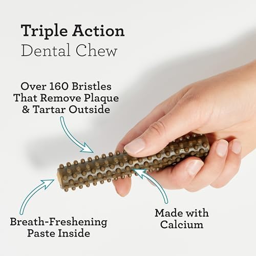 Dreambone Triple Action Dental Sticks Kelp, 6 Count, Rawhide-Free Chews for Large and XL Sized Dogs Freshens Breath