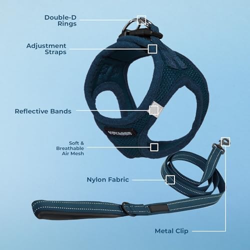 Best Pet Supplies Voyager Step-in Air All Weather Mesh Harness and Reflective Dog 5ft Leash Combo with Neoprene Handle, for Small, Medium and Large Breed Puppies - Blue, Small