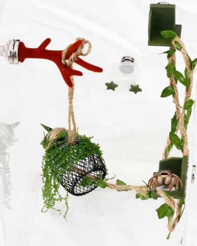 5Pcs Jumping Spider Enclosure Accessories with Hammock, Magnetic Climbing Rope, Resting Ledge Platforms and Feeding Dish Bowl & Hook for Terrarium Habitat (5Pcs Combination Kit)