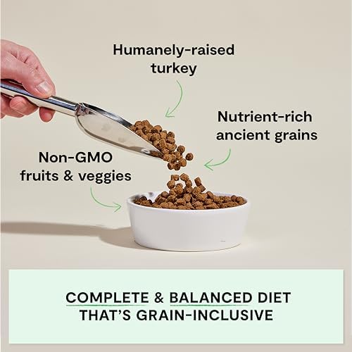 Open Farm Ancient Grains Dry Dog Food, Homestead Turkey Kibble, 11lb Bag