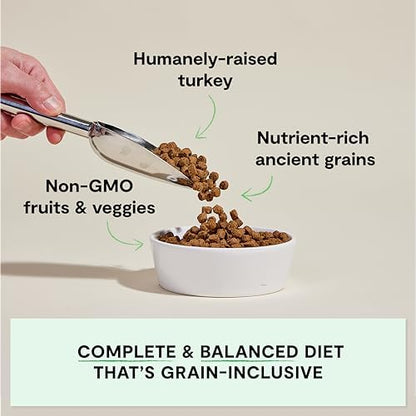 Open Farm Ancient Grains Dry Dog Food, Homestead Turkey Kibble, 11lb Bag