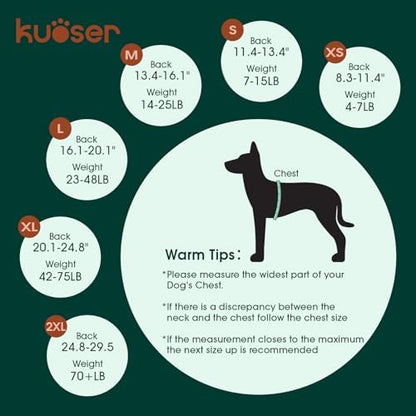 Kuoser Dog Recovery Suit, Female Male Spay Neuter Surgery Suit, Blue, XL
