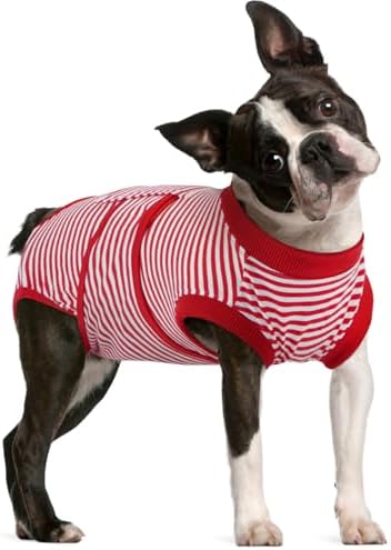 FUAMEY Recovery Suit for Dogs, Dog Onesie for Surgery Female Surgical Suit