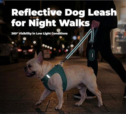 Best Pet Supplies Voyager Nylon Dog Leash - Turquoise, Medium