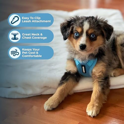 Voyager Step-in Lock Dog Harness - Baby Blue, Large