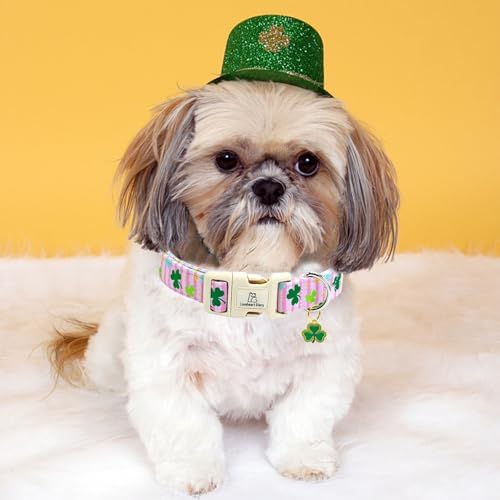 Lionheart glory St. Patrick's Dog Collar-Lucky Clover Shamrock Pink Spring Trefoil Dog Collar for Medium Dogs Adjustable Heavy-Duty Dogs Collars Pet Gift Female