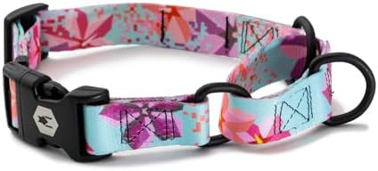 Wolfgang Heavy Duty Martingale Dog Collar with Quick Release Nylon Buckle for Walking & Training, DigiFloral Print, Medium