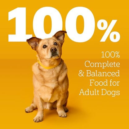 Pedigree Choice Cuts Wet Dog Food Pouch, Beef Favorites, 3.5 oz, 30 Count