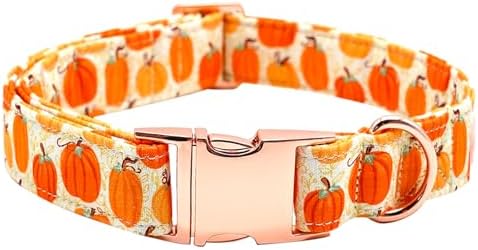 Dog Collars, Halloween Pet Collar Fall Pumpkin Print Pet Collars Durable Metal Collar Cute Puppy Collar Boy Girl Collars Adjustable for Medium Dogs