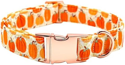Dog Collars, Halloween Pet Collar Fall Pumpkin Print Pet Collars Durable Metal Collar Cute Puppy Collar Boy Girl Collars Adjustable for Medium Dogs