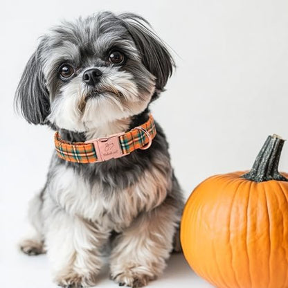 Fall Dog Collar for Small Dogs - Vintage Orange Green Plaid Tanksgiving Puppy Collar, Adjustable Heavy Duty Halloween Festivel Dog Collars with Metal Buckle S