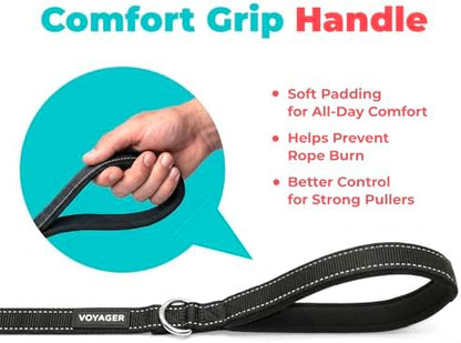 Best Pet Supplies Voyager Nylon Dog Leash - Black, Small