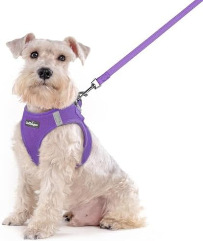 rabbitgoo Dog Harness Medium Sized and Leash Set, Step-in Puppy Pet Vest