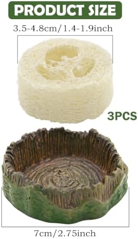 Cockroach Water Basin & 3 Loofah Set, Dubia Roaches Live Habitat Reptile Container Supplies for Terrariums & Enclosures, Comfortable Habitat for Roaches Live, Isopods, Springtails, Crickets