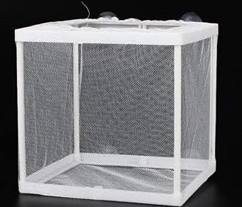 Fish Nursery for Aquarium-Fish，16 x 14 x 15cm Aquarium Fish Breeder Box, Hatching Box, Juvenile Fish Spawning Incubator, Water Isolation Net Hatchery、Fish Isolation Box (Square-no partition)
