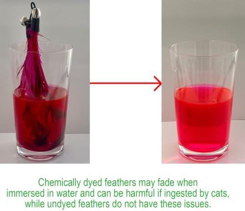 Cat Toys - No Chemical Dyeing Cat Feather Toys for Indoor Cats - Include Cat Wand and Natural Feather Refills