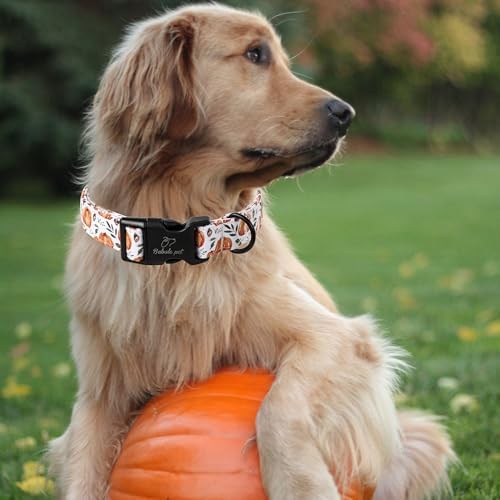 Fall Dog Collar, Cute Orange Pumpkin Pattern Puppy Collar XS