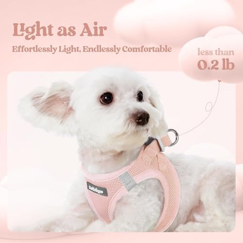 rabbitgoo Dog Harness Medium Sized and Leash Set, Step-in Puppy Pet Vest