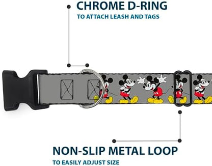Disney Plastic Clip Dog Collar